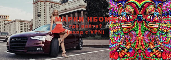 индика Надым