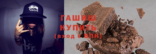 индика Надым