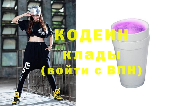 индика Надым