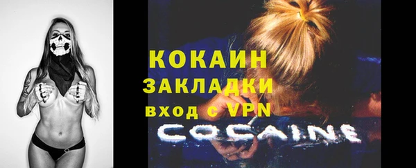 индика Надым