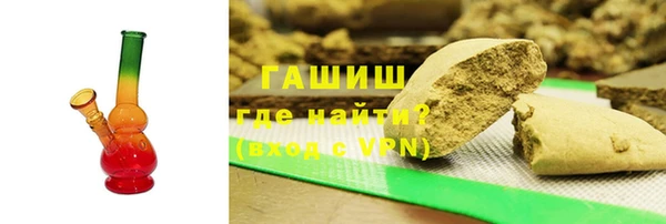 индика Надым