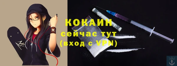 индика Надым