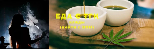 индика Надым