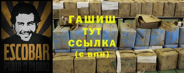 индика Надым
