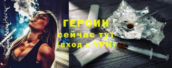 индика Надым