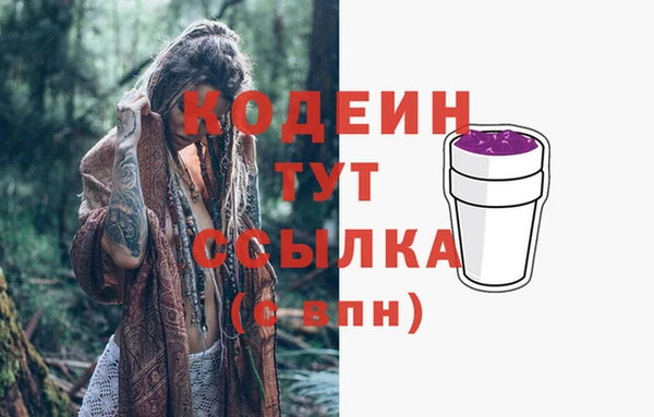 индика Надым