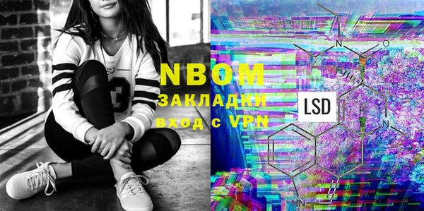 индика Надым