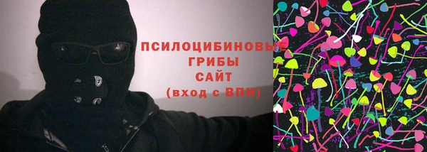 индика Надым