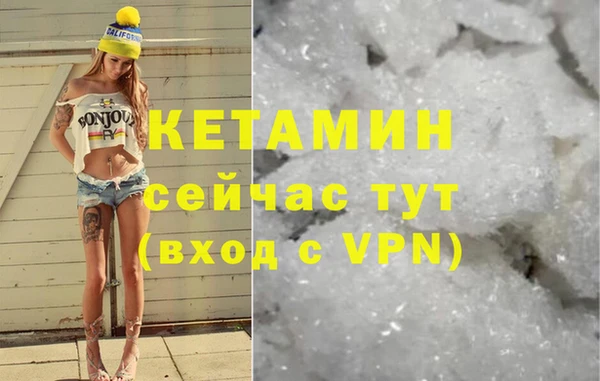 индика Надым