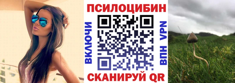 Псилоцибиновые грибы Magic Shrooms  Армянск 